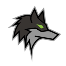 Dark Wolf Solutions