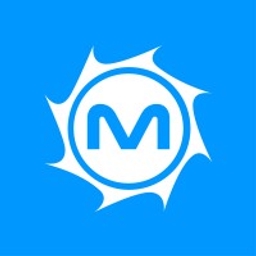MetroStar