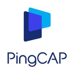PingCAP
